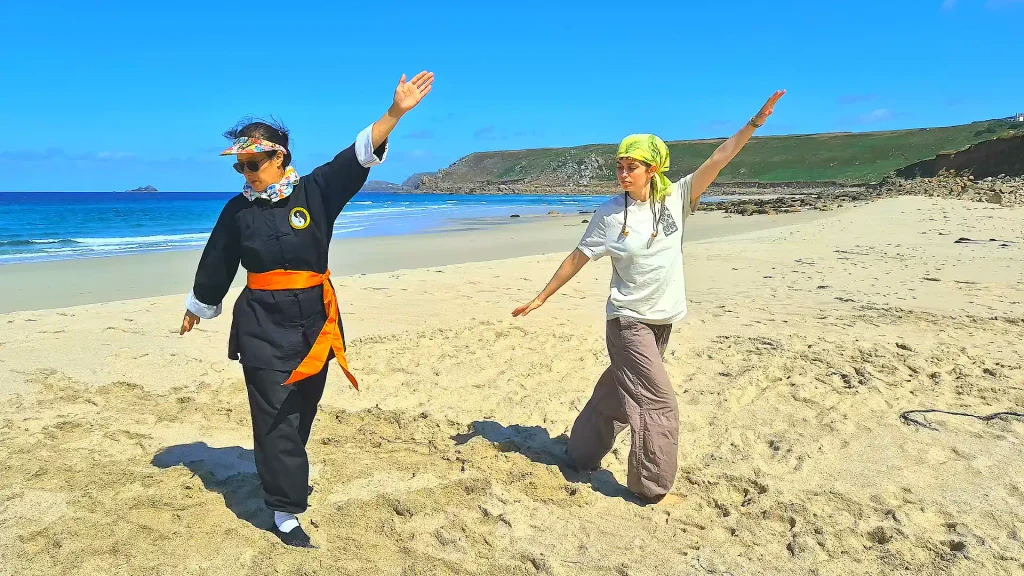 Autumn term Tai Chi in Falmouth